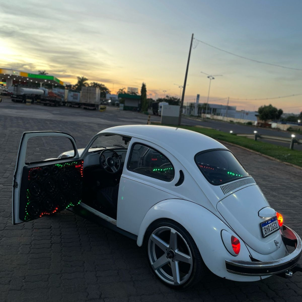 RIFA FUSCA PBA